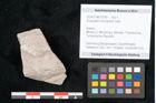 Foto (Objekt + Etikett) von Dictyopteris brongniarti Gutb. (NHMW-GEO-2024-0188-10769)